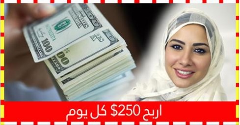 استراتجية المليونير اربح دولار كل