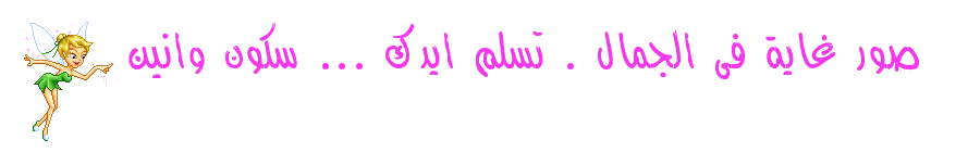 ���� ���� ������ �� ���� ������