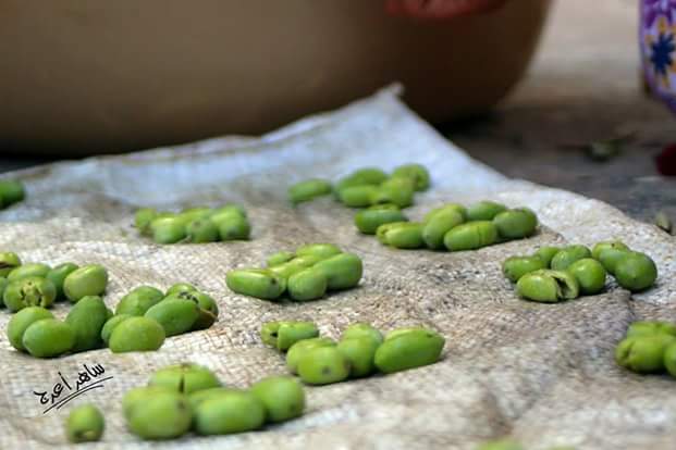 ���� ���� ������ �� ���� ������