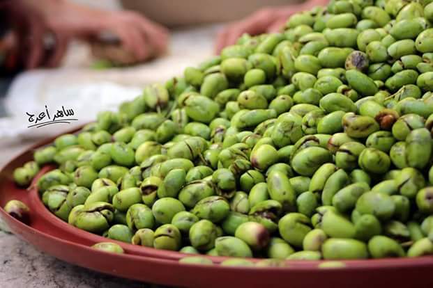 ���� ���� ������ �� ���� ������