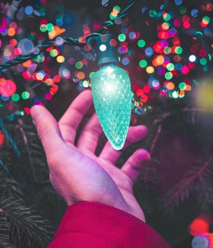 ���� ���� ������ �� ���� ������