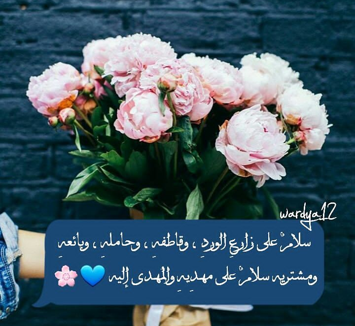 ���� ���� ������ �� ���� ������