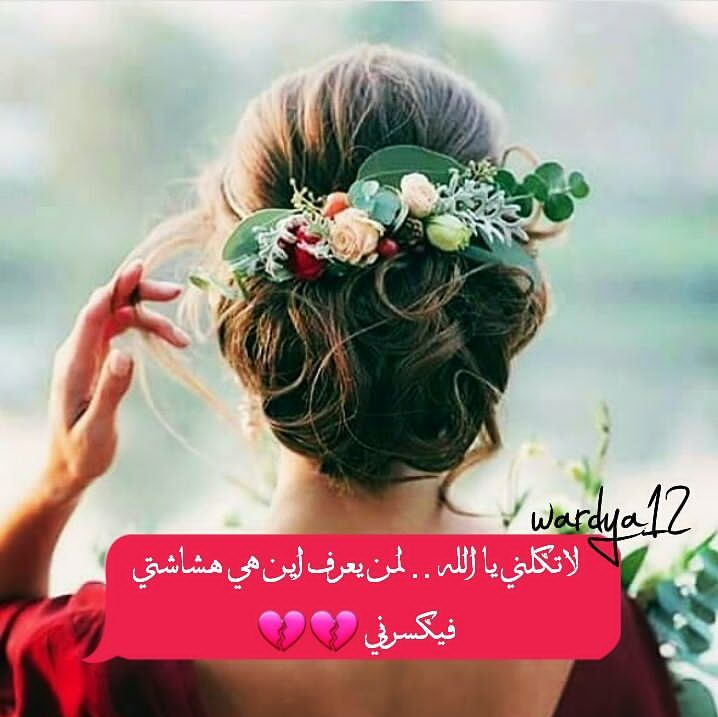 ���� ���� ������ �� ���� ������