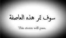 ���� ���� ������ �� ���� ������