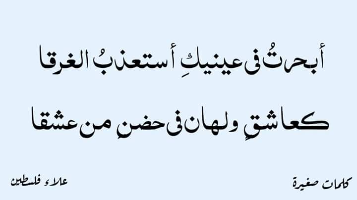 ������ ���� ������ �� ���� ������