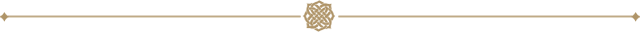 260789529