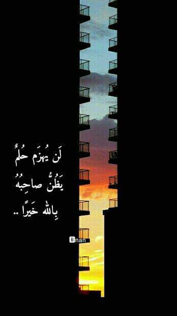 ���� ���� ������ �� ���� ������