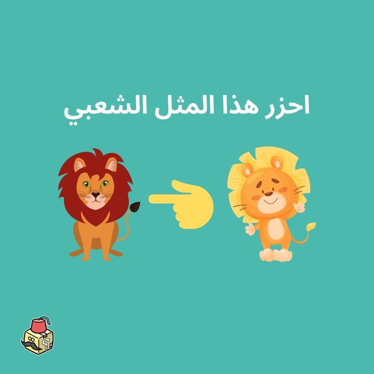 ���� ���� ������ �� ���� ������