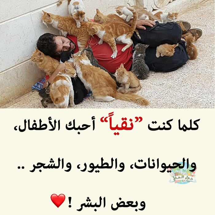 ���� ���� ������ �� ���� ������