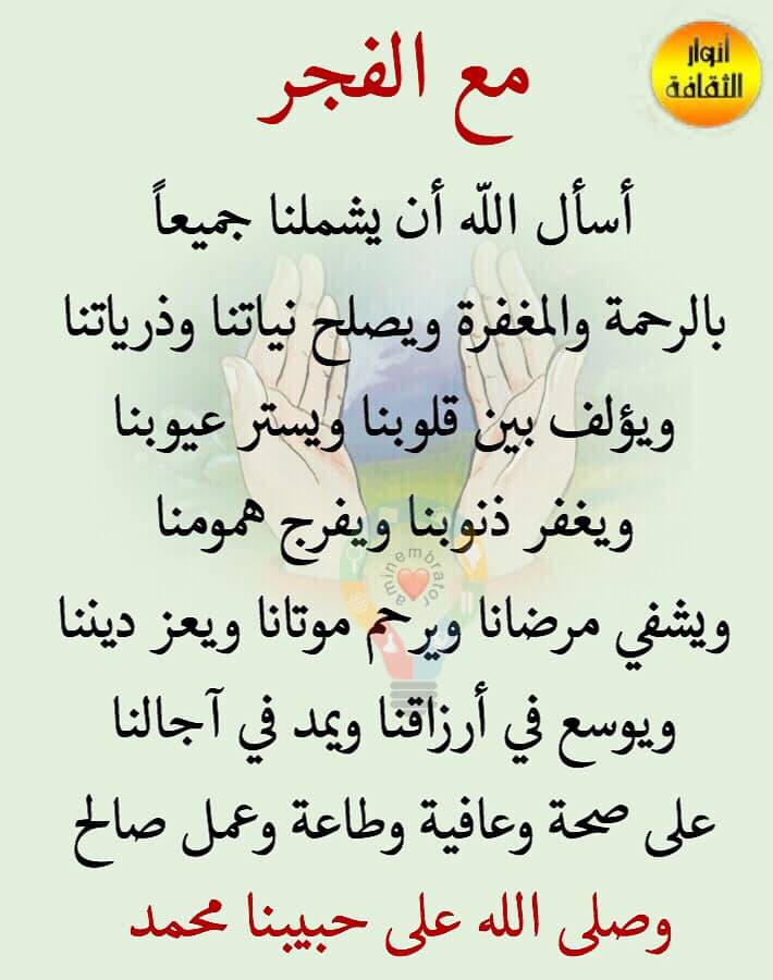 ���� ���� ������ �� ���� ������