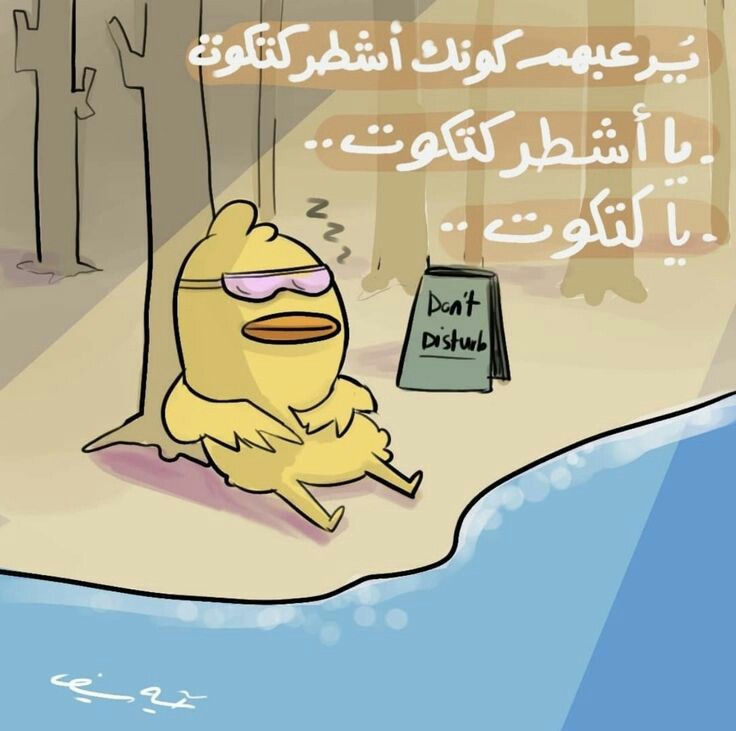 ���� ���� ������ �� ���� ������