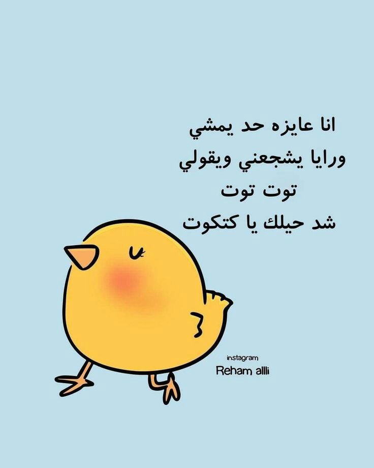 ���� ���� ������ �� ���� ������