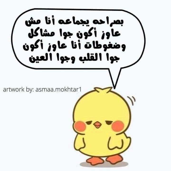 ���� ���� ������ �� ���� ������