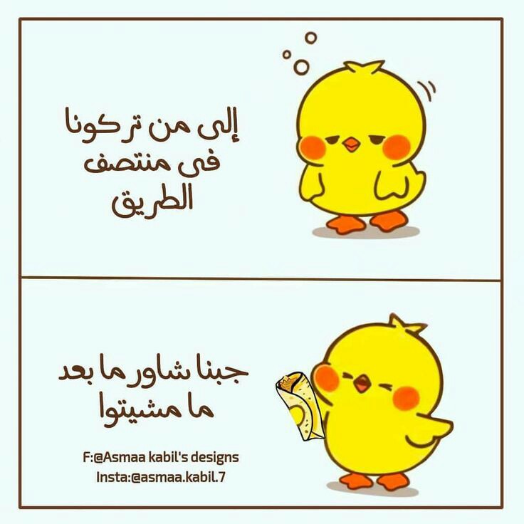 ���� ���� ������ �� ���� ������