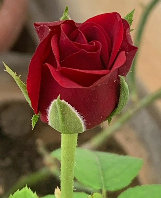 ���� ���� ������ �� ���� ������