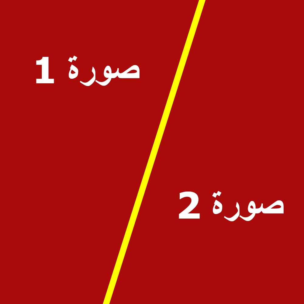 302675237.jpg