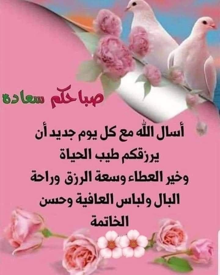 ���� ���� ������ �� ���� ������