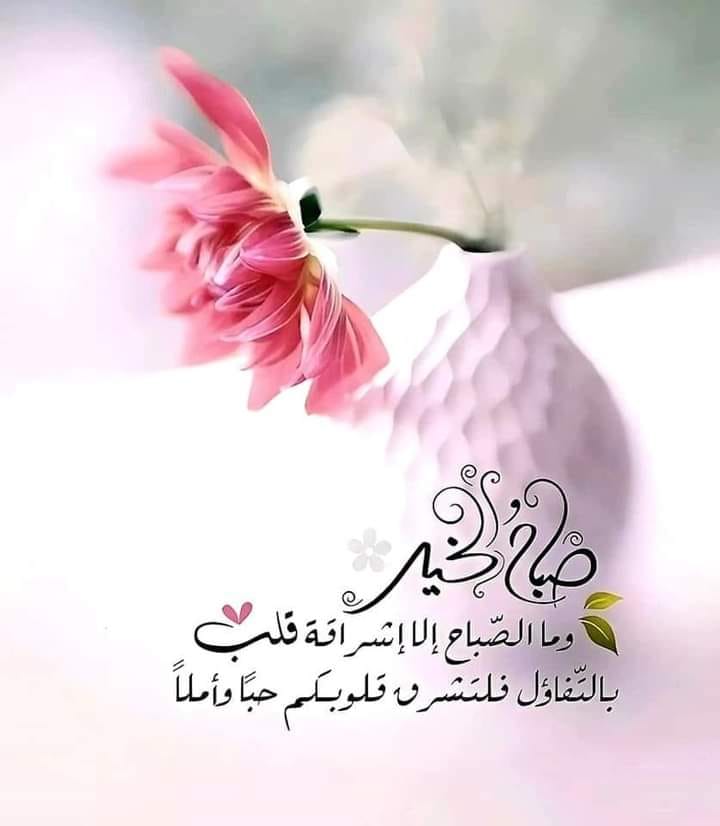 ���� ���� ������ �� ���� ������