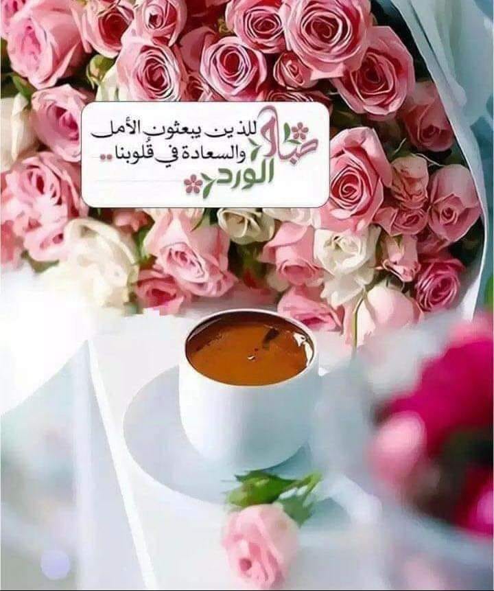 ���� ���� ������ �� ���� ������