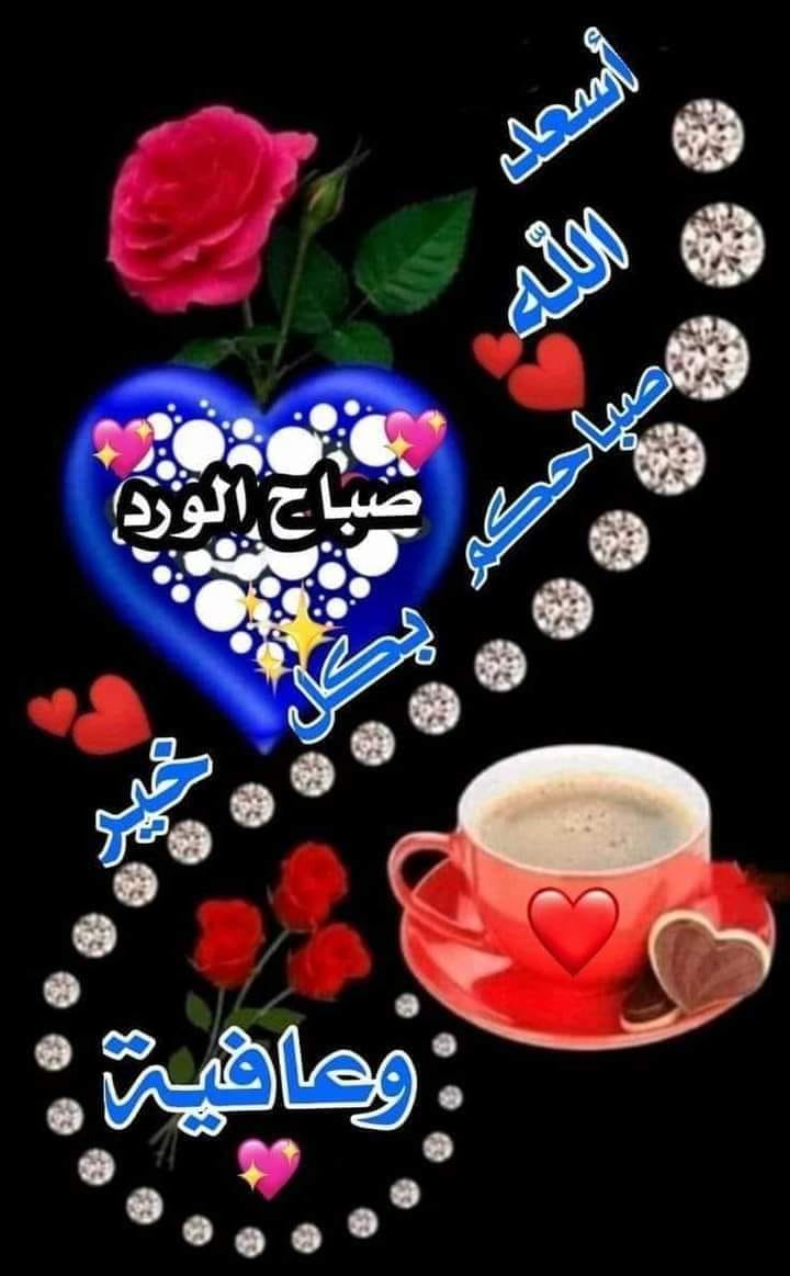 ���� ���� ������ �� ���� ������